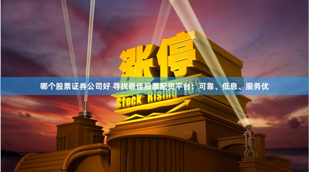 哪个股票证券公司好 寻找最佳股票配资平台：可靠、低息、服务优