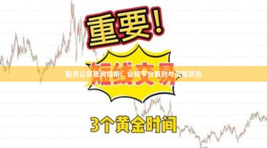 配资公司查询指南：合规平台甄别与风险防范